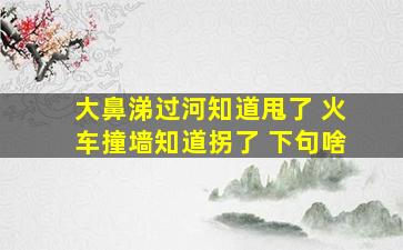 大鼻涕过河知道甩了 火车撞墙知道拐了 下句啥